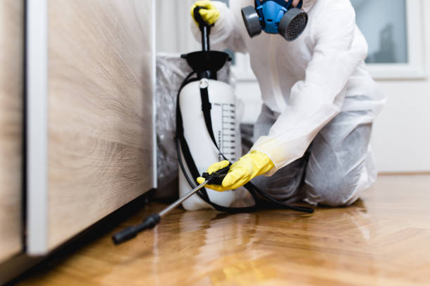 Best Affordable Pest Control Services  in Twentynine Palms, CA