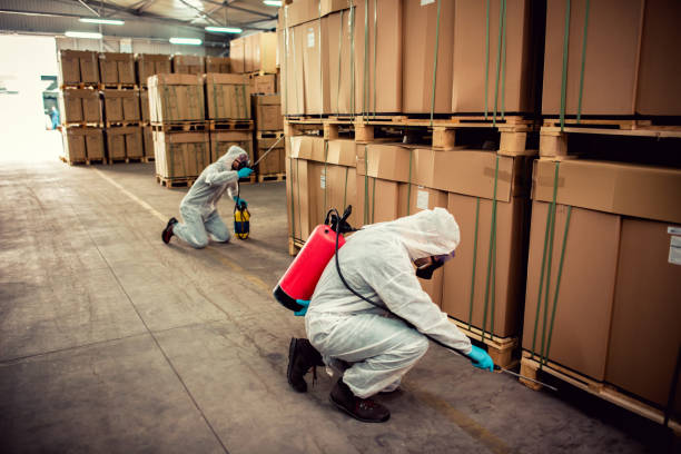 Best Wildlife Control Services  in Twentynine Palms, CA